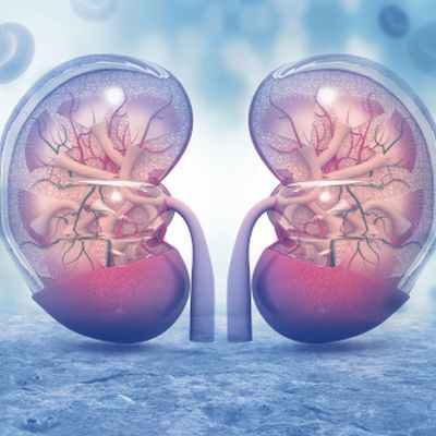 Нефроптоз (опущение почки)