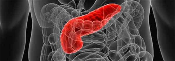 Хирургия на поджелудочной железе в «Семейной»
