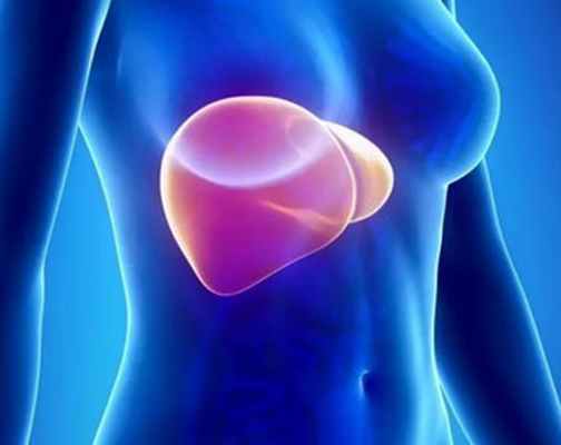 Фото Портальная гипертензия 