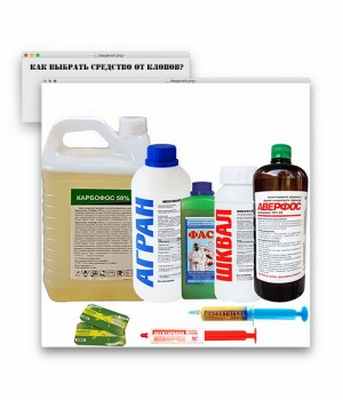 Как выбрать средство от клопов?