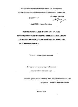 Позиционирование нуклеосом на гене неомицинфосфотрансферазы в репрессированном состоянии и при индукции экспрессии в составе дрожжевых плазмид
