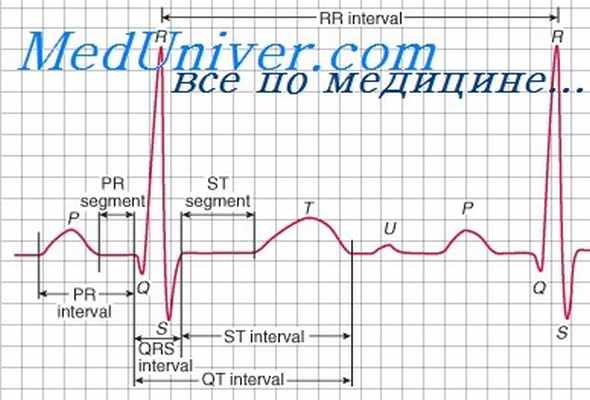 предсердные ритмы