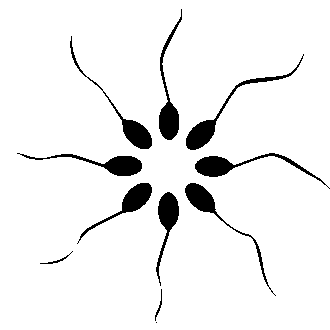 Преждевременная эякуляция