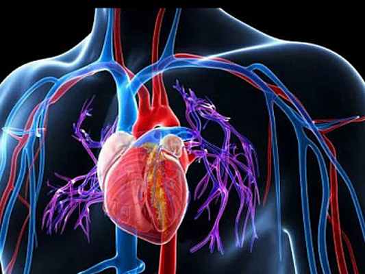 Фото Легочная гипертензия