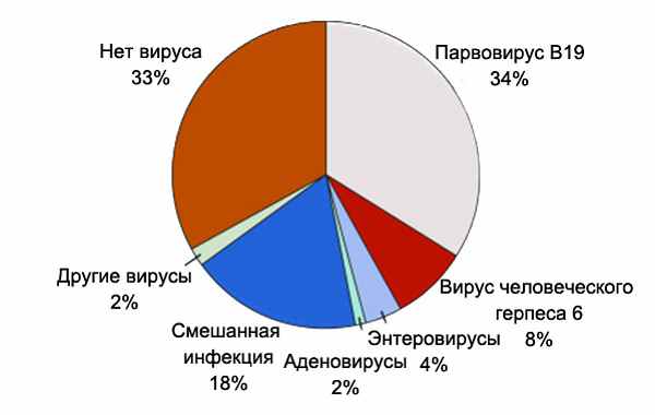 Вирусы при миокардите