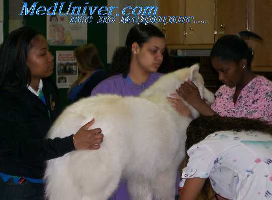 профилактика травматизма