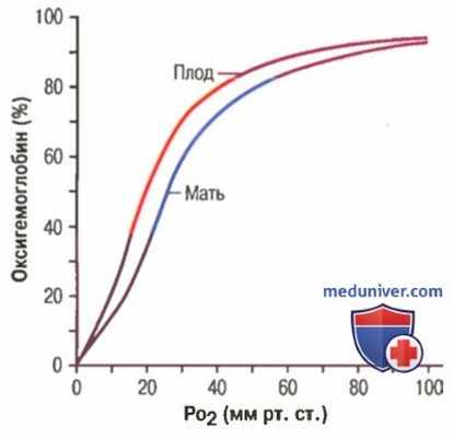 Проницаемость плаценты. Диффузия кислорода через плаценту