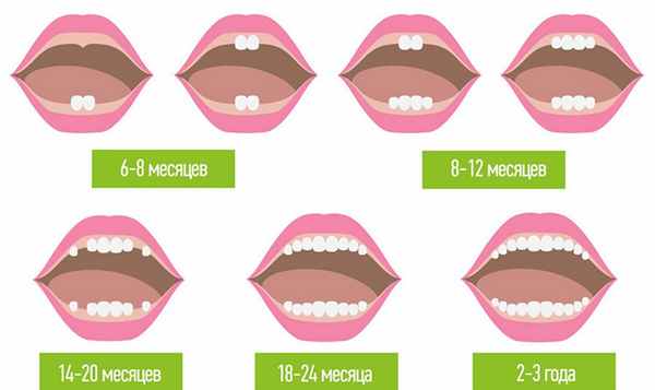 прорезывание зубов у детей
