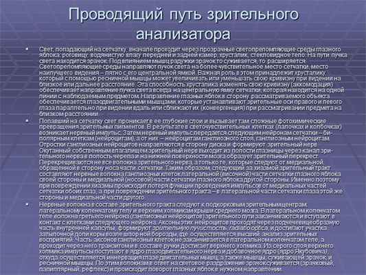 Проводящий путь зрительного анализатораСвет, попадаю­щий на сетчатку, вначале. 