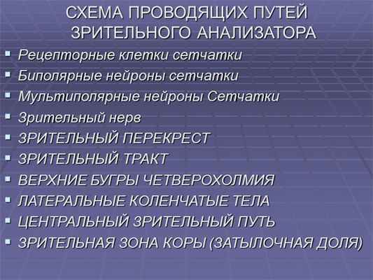 СХЕМА ПРОВОДЯЩИХ ПУТЕЙ ЗРИТЕЛЬНОГО АНАЛИЗАТОРА Рецепторные клетки сетчатки Би. 