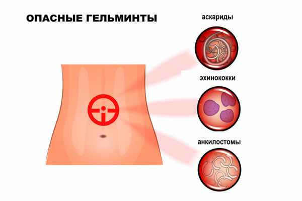 Опасные гельминты.jpg