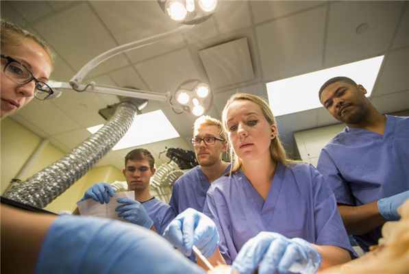 Лечение онкологических поражений мочевыводящей системы