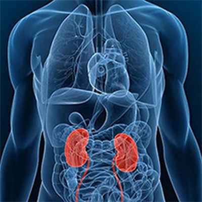 Ð Ð°Ðº Ð¿Ð¾ÑÐºÐ¸