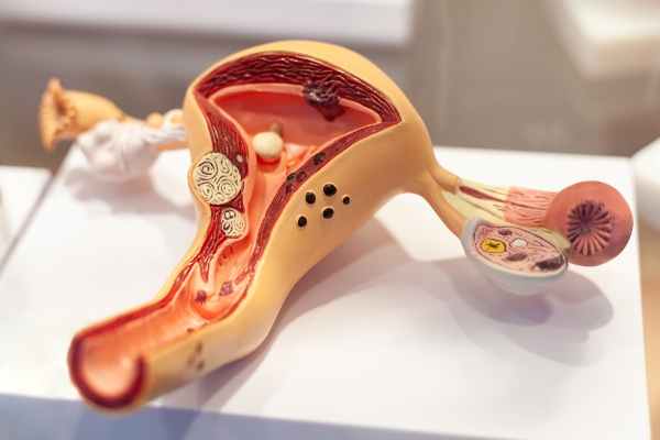 папиломавирус и рак шейки матки