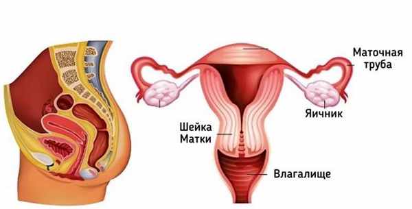 рак влагалища