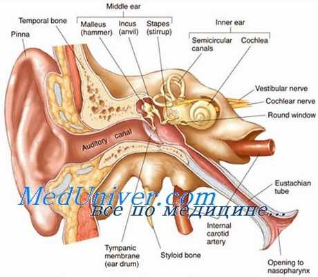 нейросенсорная глухота