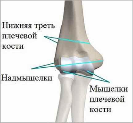Эпикондилит плечевого сустава