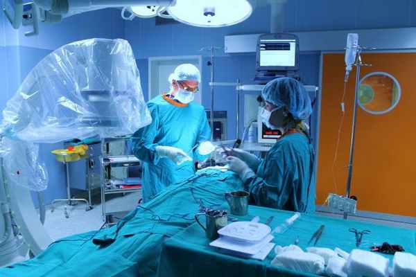 Заячья губа