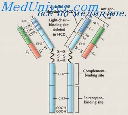 бактериальные антигены