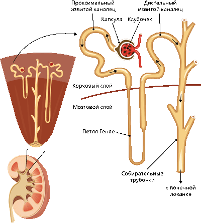 6 (29).png