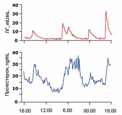 Рис.6. Колебания ЛГ стимулируют высвобождение прогестерона в среднюю лютниновую фазу