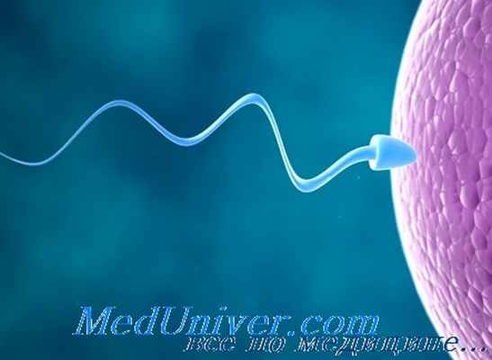 внутриматочная инсеминация