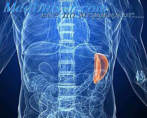 болезнь гоше