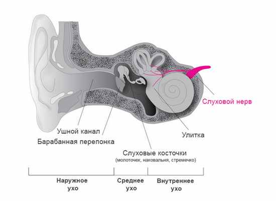 Слуховая (аудиторная) нейропатия