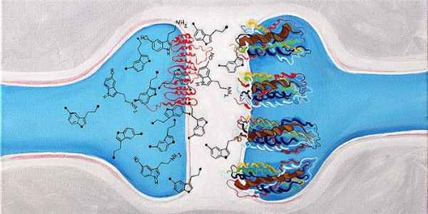Серотониновый синдром