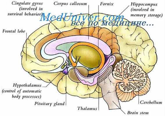 шизофрения