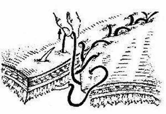 Непрерывный кишечный шов Шмидена