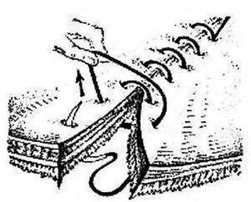 Непрерывный скорняжный кишечный шов