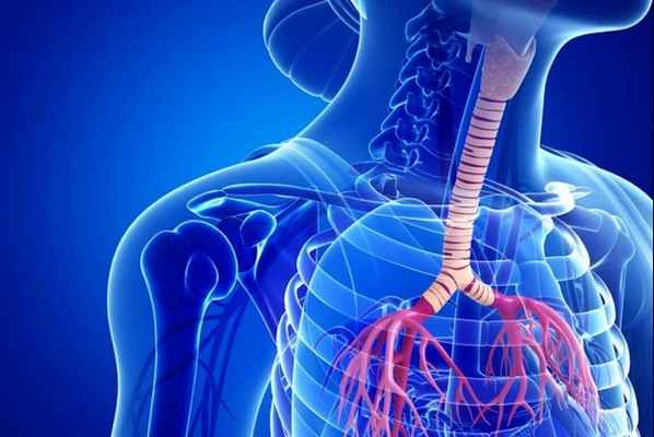 Стеноз страхеи и бронхов - что это и как лечить