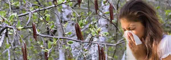 Лечение сенной лихорадки