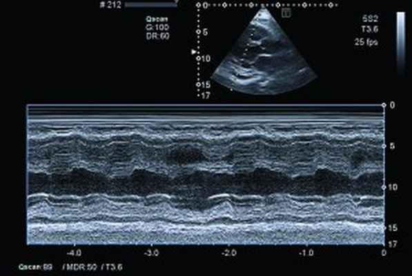 Рис4Без имени-1