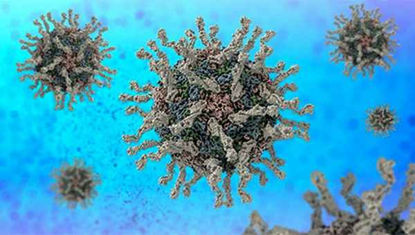 Полиовирус