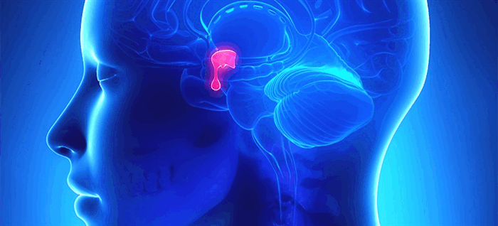 Турецкое седло