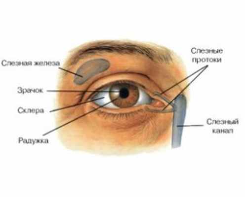 синдром сухого глаза.jpg