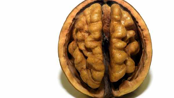 корсаковский синдром