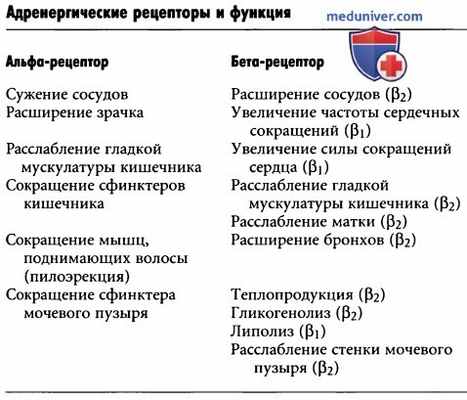 Рецепторы эффекторных органов