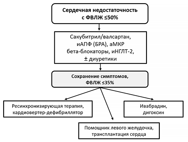Алгоритм лечения сердечной недостаточности