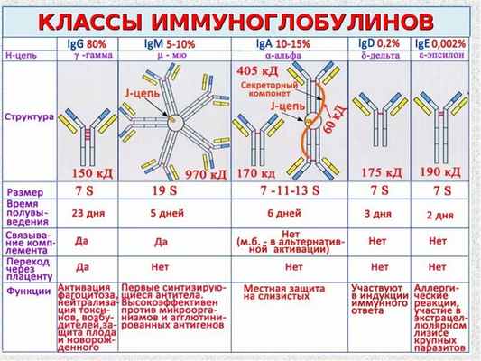 Иммуноглобулины