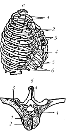Соединение ребер