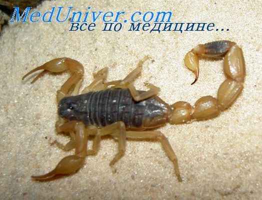 яд позвоночных