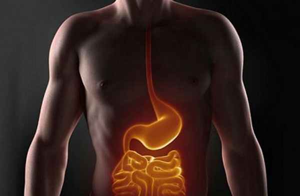 Рак желудка