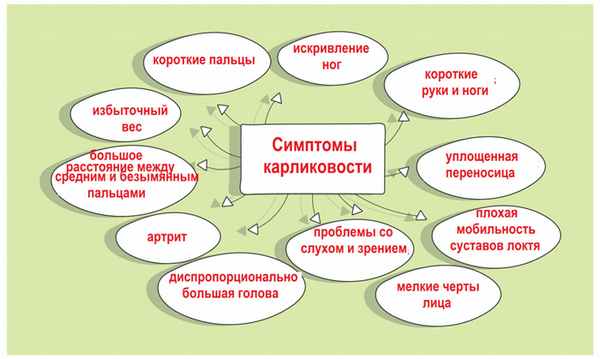 Симптомы карликовости.jpg