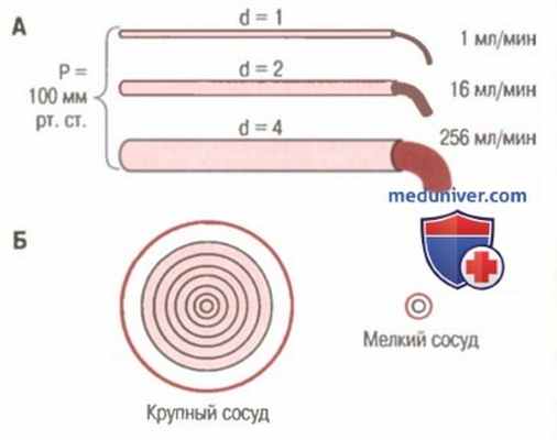 сопротивляемость сосудов