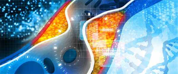 врачи-специалисты и медицинские центры в области сосудистые заболевания