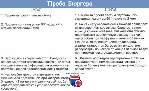 Проба Бюргера