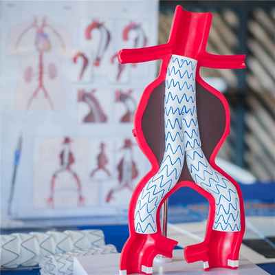 Макет эндоваскулярной имплантации внутрисосудистого протеза